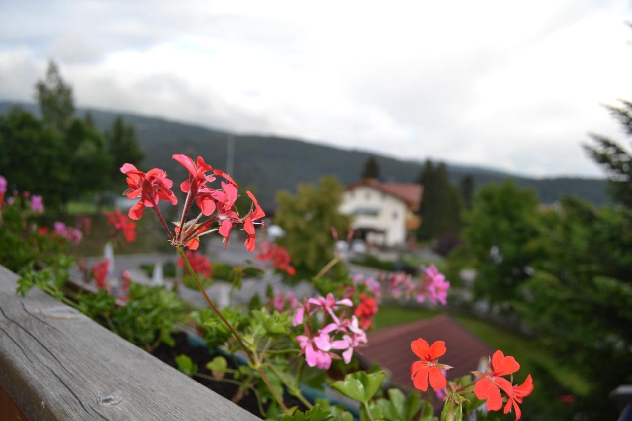 Gasthof Zum Gruenen Baum Verano Zewnętrze zdjęcie
