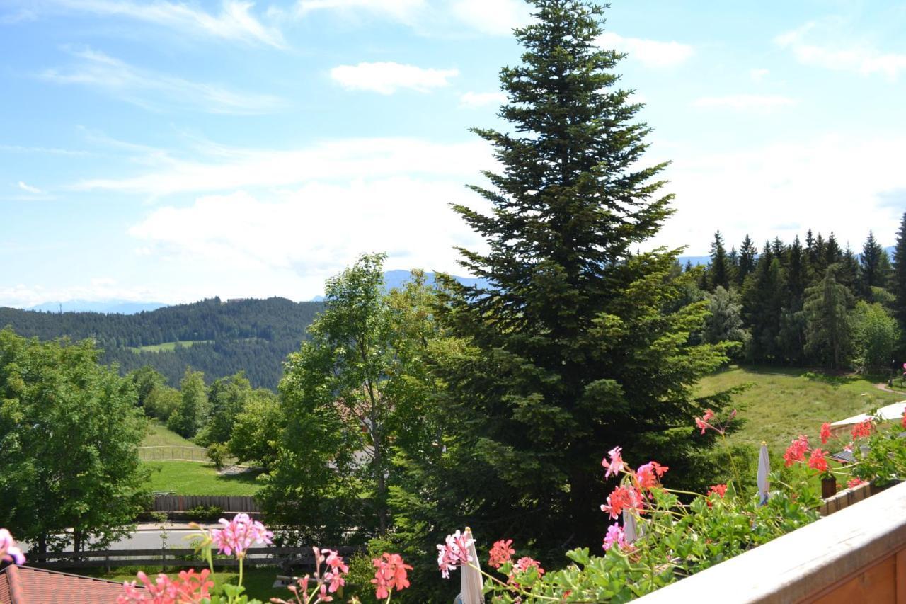 Gasthof Zum Gruenen Baum Verano Zewnętrze zdjęcie